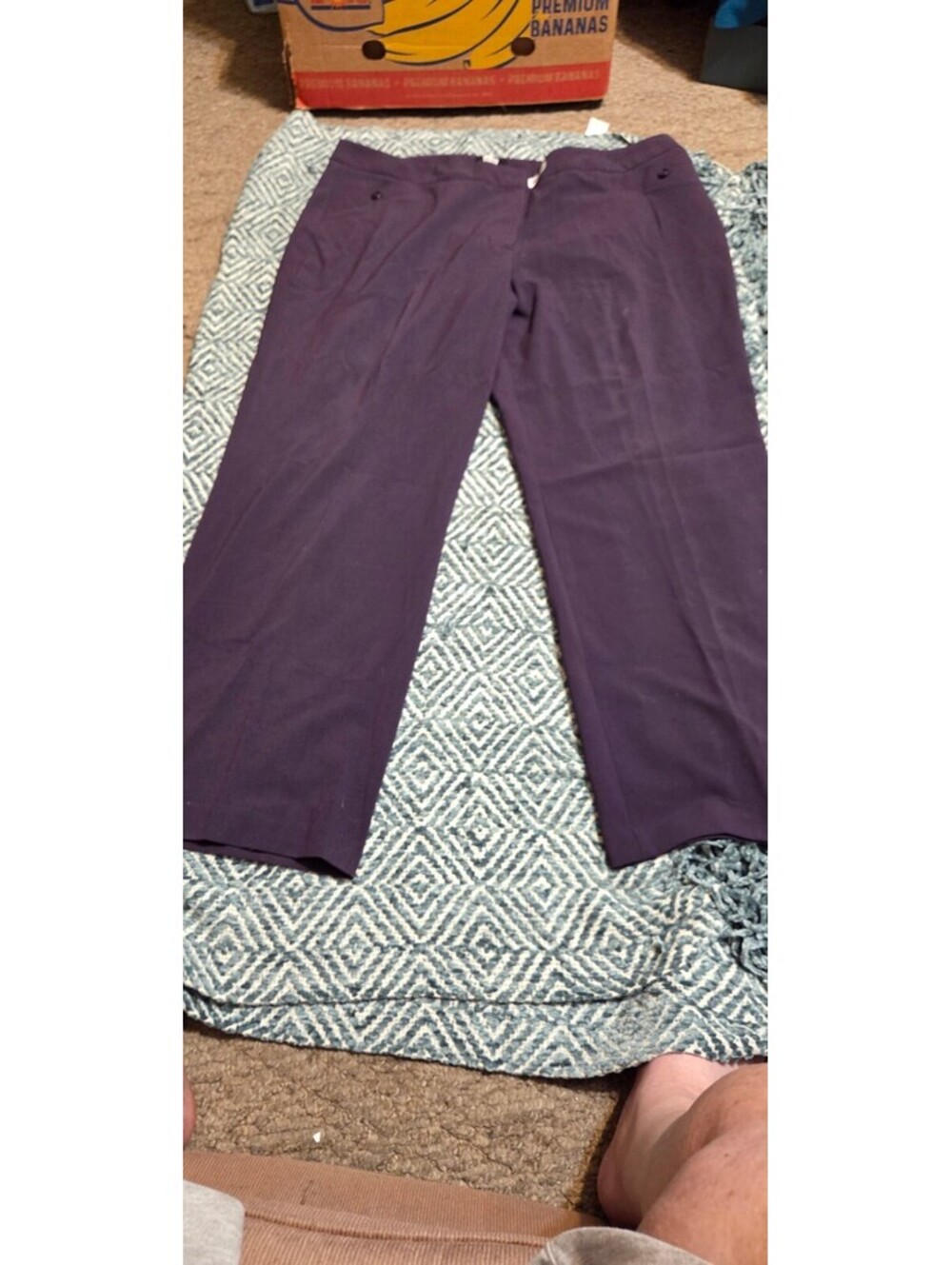 Studio womens  dress pants